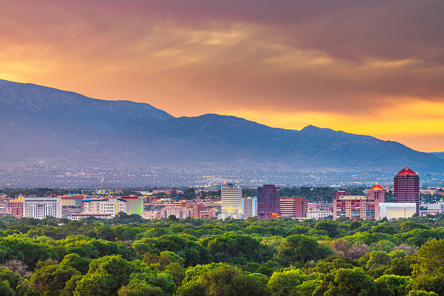 Albuquerque Document Scanning provides various scanning, storage, and destruction services near you.